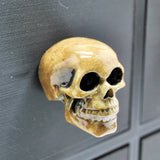 Aged Natural Skull Door Knobs, Resin Kitchen Door Knobs