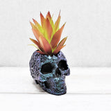 Skull Plant pot, Skull Planter