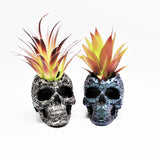 Skull Plant pot, Skull Planter