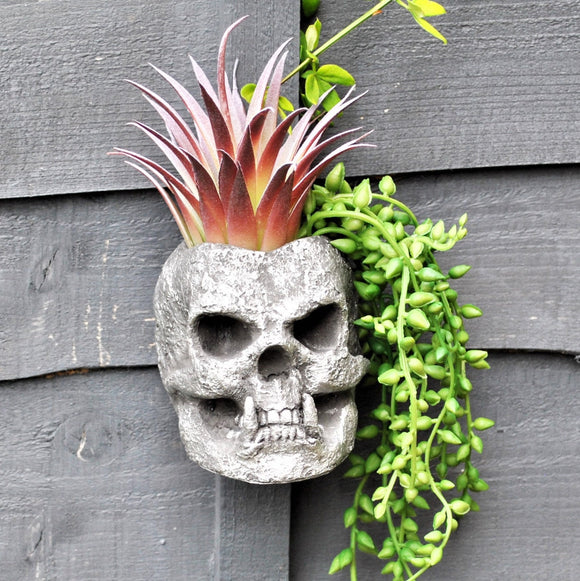 Skull Planter, Gothic Plant Pot, Wall Hanging Skull