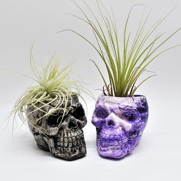 Small Plant pot, Skull Planter, Succulent Plant Pot, Cactus Planter, Gothic Plant Pot, Air Plant Holder, House Warming Gift, Gothic Gifts
