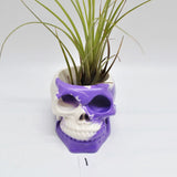 Skull Plant Pot, Air Plant Pot, Skull Planter