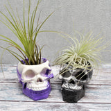 Skull Plant Pot, Air Plant Pot, Skull Planter