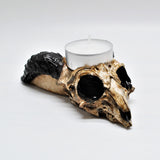 Skull Candle Holder, Ram Skull T Light Holder, Skull Candles, Gothic Candle Holder, Ram Skull, Home Decor
