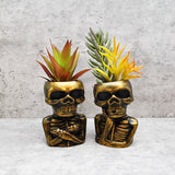 Skull Plant pot, Skull Planter