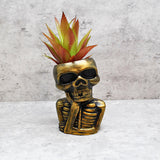 Skull Plant pot, Skull Planter