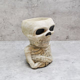 Natural Skull Plant pot, Skull Planter