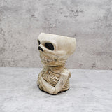 Natural Skull Plant pot, Skull Planter