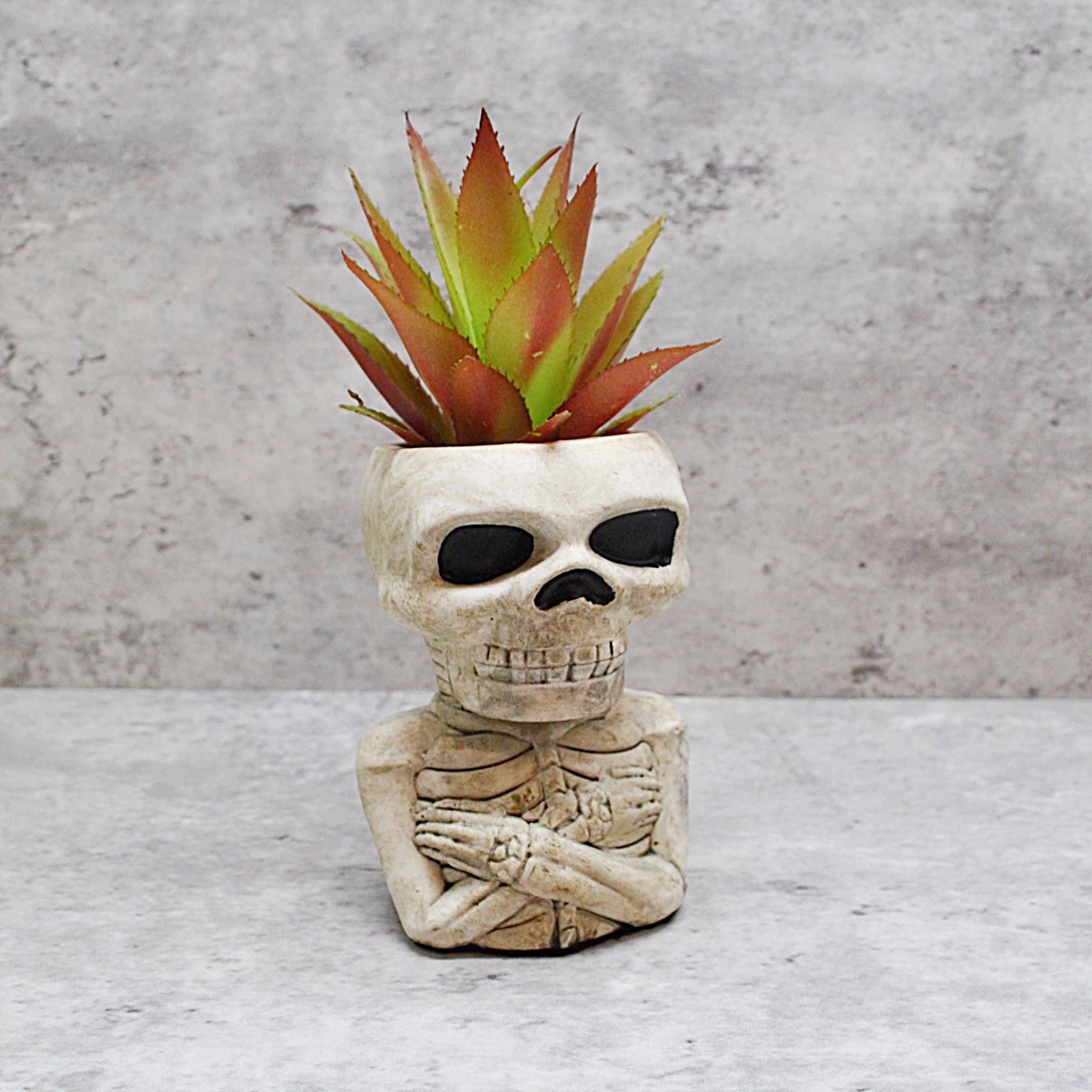 Natural Skull Plant pot, Skull Planter – JJB Castings