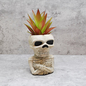 Natural Skull Plant pot, Skull Planter