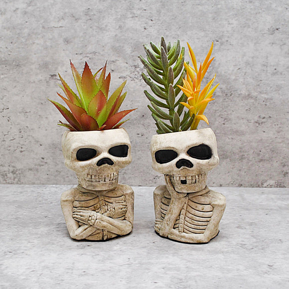 Natural Skull Plant pot, Skull Planter