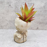 Natural Skull Plant pot, Skull Planter