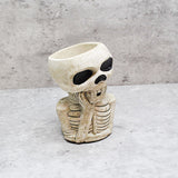 Natural Skull Plant pot, Skull Planter