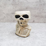 Natural Skull Plant pot, Skull Planter