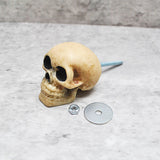 Aged Natural Skull Door Knob, Resin Kitchen Door Knob