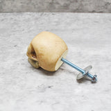 Aged Natural Skull Door Knob, Resin Kitchen Door Knob