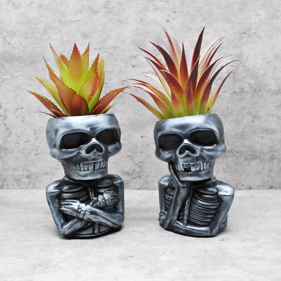 Skull Plant pot, Skull Planter