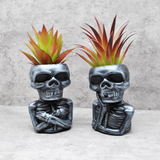 Skull Plant pot, Skull Planter