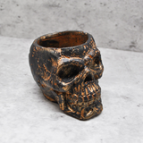 Handmade Skull Planter – Metallic Silver Succulent & Cactus Pot