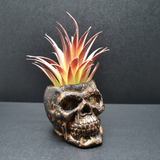 Handmade Skull Planter – Metallic Silver Succulent & Cactus Pot