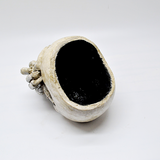Skull Plant Pot, Gothic Planter