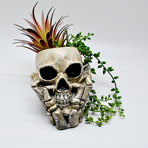 Skull Plant Pot, Gothic Planter