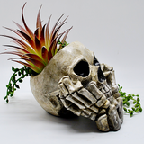 Skull Plant Pot, Gothic Planter