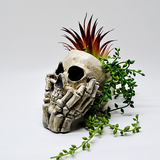 Skull Plant Pot, Gothic Planter