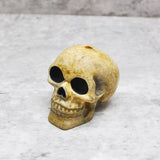 Natural Aged Skull Light Pull