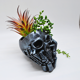 Skull Plant Pot, Gothic Planter