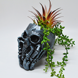 Skull Plant Pot, Gothic Planter
