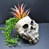 Skull Plant Pot, Gothic Planter