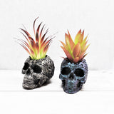 Skull Plant pot, Skull Planter