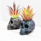 Skull Plant pot, Skull Planter