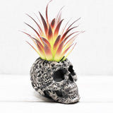 Skull Plant pot, Skull Planter