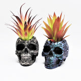 Skull Plant pot, Skull Planter