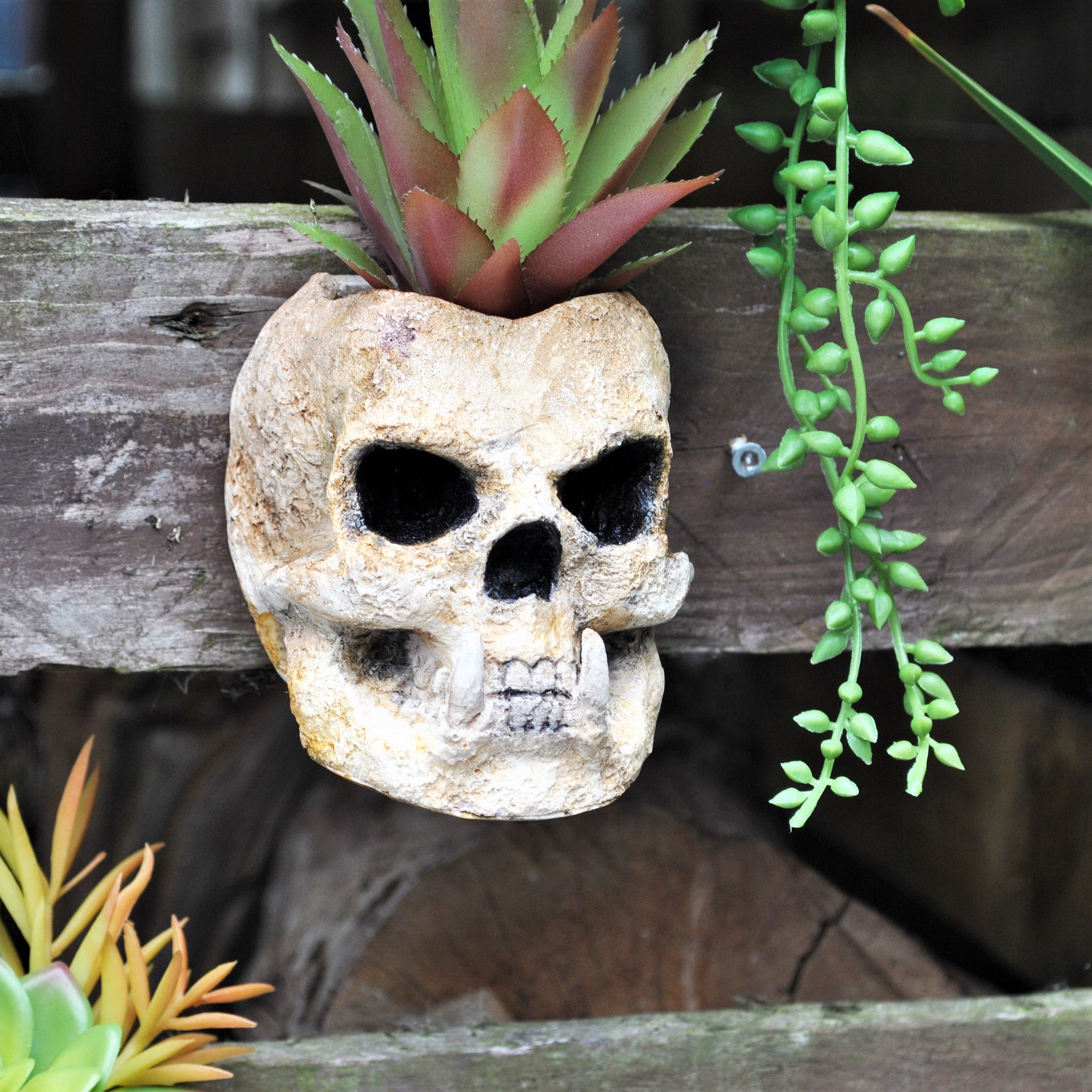 gothic hanging planter Skull Planter, Gothic Plant Pot, Wall Hanging Skull – JJB Castings