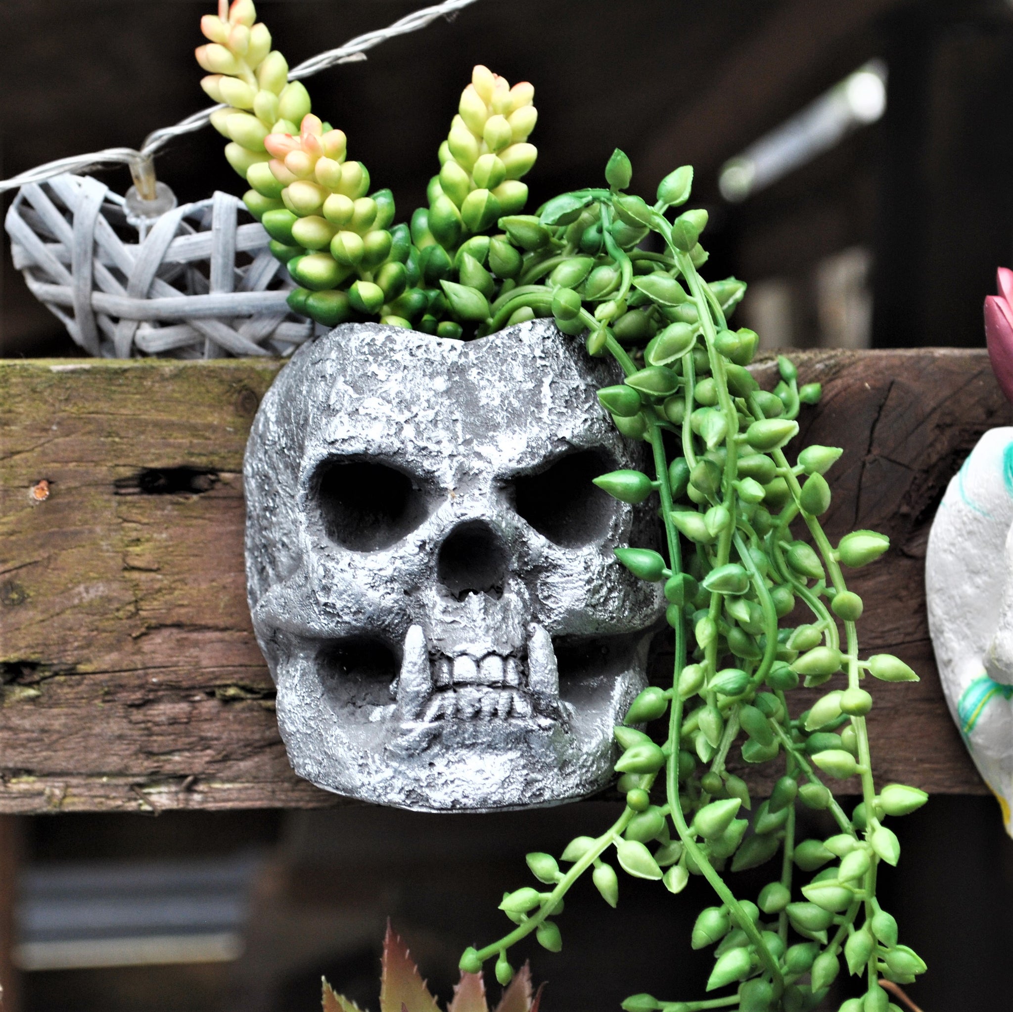 gothic hanging planter Skull Planter, Gothic Plant Pot, Wall Hanging Skull – JJB Castings