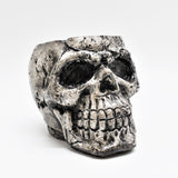 Small Plant pot, Skull Planter