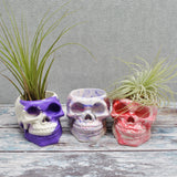 Skull Plant Pot, Air Plant Pot, Skull Planter