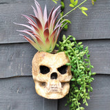 Skull Planter, Gothic Plant Pot, Wall Hanging Skull