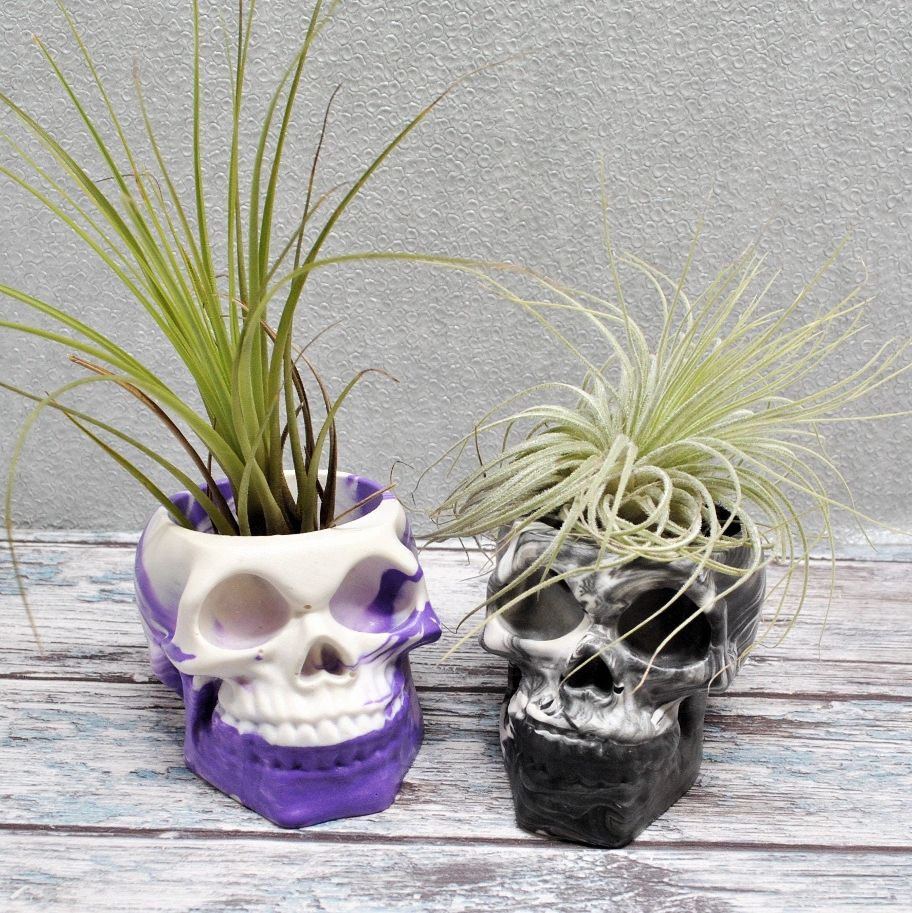skull air plant holder Skull Plant Pot, Air Plant Pot, Skull Planter – JJB Castings